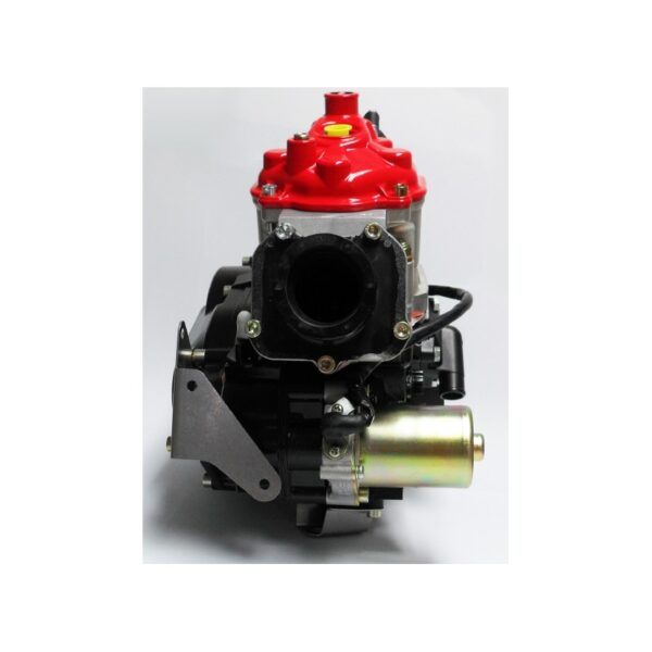 Rotax 125 MAX DD2 EVO - Rå Motor. Fra 18 år - Image 4