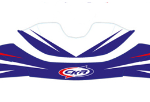 Sticker 507 nosecone