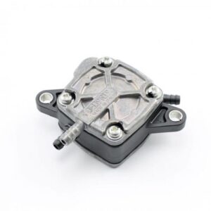 Bensinpumpe Dellorto